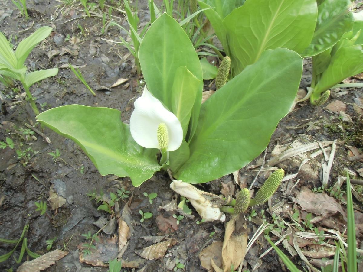 Katashina Pension Rapan מראה חיצוני תמונה